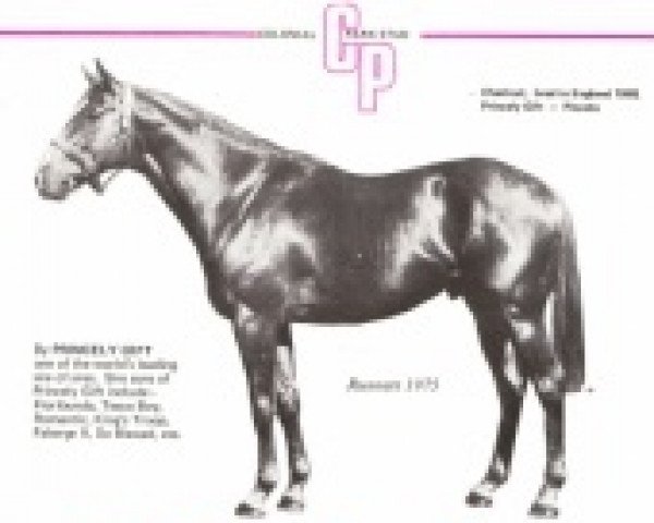 stallion Princely Note xx (Thoroughbred, 1969, from Princely Gift xx)