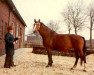 Zuchtstute Onetty (Koninklijk Warmbloed Paardenstamboek Nederland (KWPN), 1973, von Doruto)