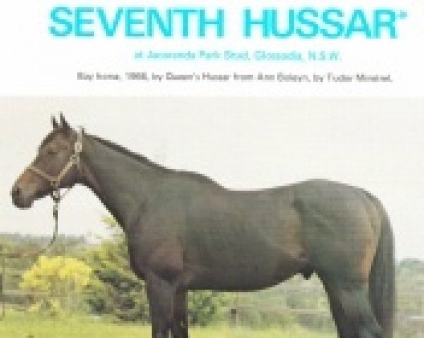 Deckhengst Seventh Hussar xx (Englisches Vollblut, 1966, von Queen's Hussar xx)