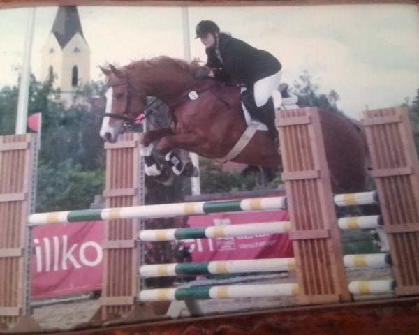 horse Camiro 28 (Bavarian, 2001, from Carlando I)