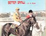 broodmare Better Draw xx (Thoroughbred, 1972, from Better Boy xx)