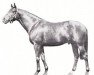 stallion Pharamond xx (Thoroughbred, 1957, from Sicambre xx)