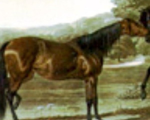Zuchtstute Rebecca xx (Englisches Vollblut, 1831, von Lottery xx)