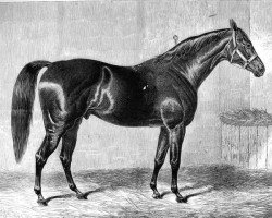 stallion Carnival xx (Thoroughbred, 1860, from Sweetmeat xx)