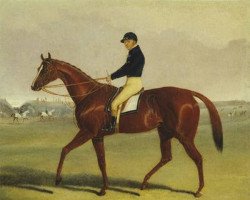 broodmare Preserve xx (Thoroughbred, 1833, from Emilius xx)