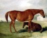 broodmare Filagree xx (Thoroughbred, 1815, from Soothsayer xx)