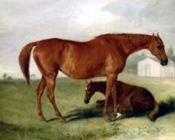 broodmare Filagree xx (Thoroughbred, 1815, from Soothsayer xx)