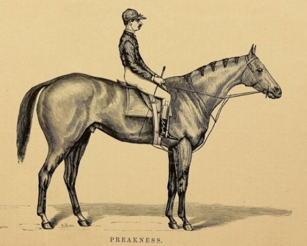 Deckhengst Preakness xx (Englisches Vollblut, 1867, von Lexington xx)