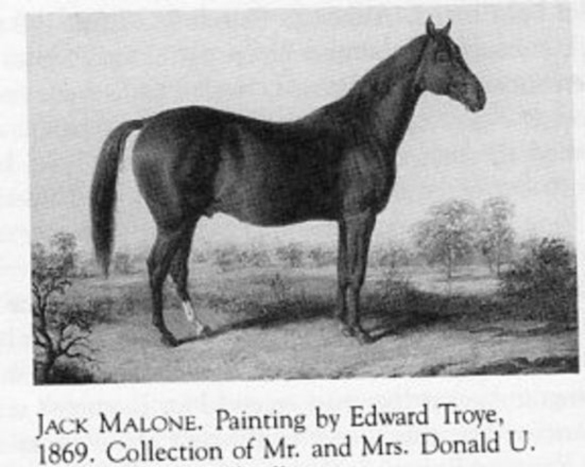 stallion Jack Malone xx (Thoroughbred, 1858, from Lexington xx)
