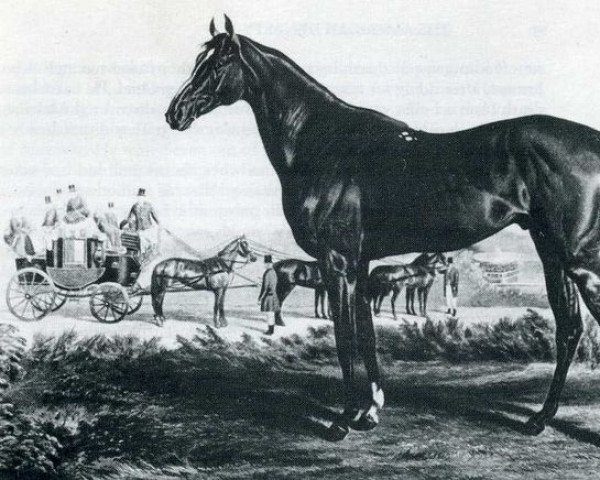 stallion Kentucky xx (Thoroughbred, 1861, from Lexington xx)