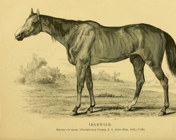 broodmare Idlewild xx (Thoroughbred, 1859, from Lexington xx)