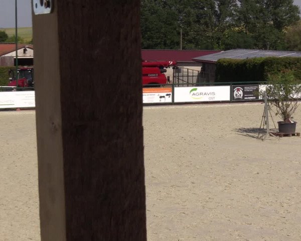 Reitturnier Immenrode 2022