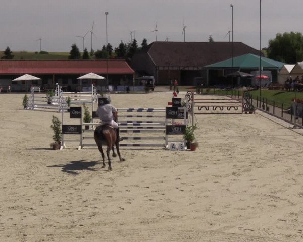 Reitturnier Immenrode 2022