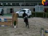 dressage horse Delgado 55 (Westphalian, 2003, from Danny de Vito 2)