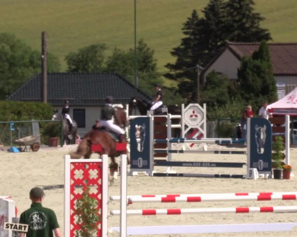 Reitturnier Immenrode 2022