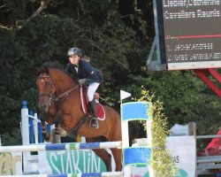 jumper Chechero (Oldenburg show jumper, 2005, from Calimbo)