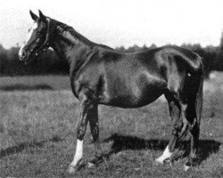 broodmare Mary Seaton xx (Thoroughbred, 1890, from Isonomy xx)