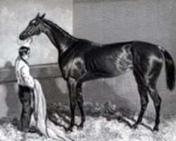 broodmare Miami xx (Thoroughbred, 1844, from Venison xx)