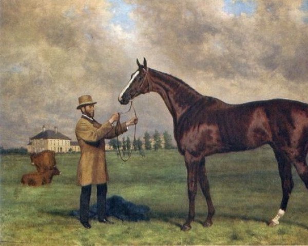 stallion Prince Charlie xx (Thoroughbred, 1869, from Blair Athol xx)