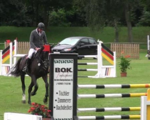 jumper Ciwan van Beek (KWPN (Royal Dutch Sporthorse), 2007, from Quality 9)