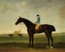 stallion Trentham xx (Thoroughbred, 1766, from Gowers Sweepstakes xx)