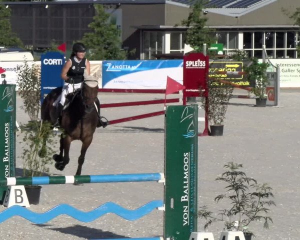 Reitturnier Gossau 2022