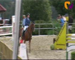 jumper Champion de L'Est (Oldenburg show jumper, 2008, from Cellestial)