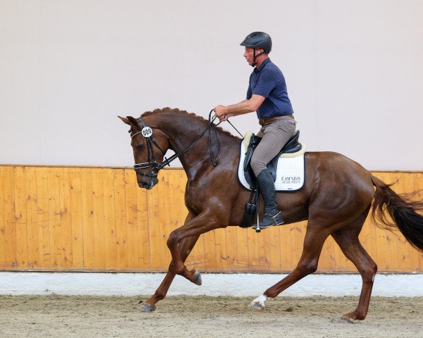 broodmare That touch of Monali (Oldenburg, 2019, from Vitalis)