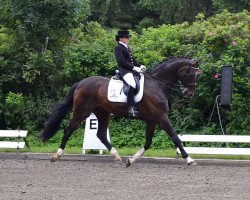 dressage horse Don Jos (Oldenburg, 1993, from Donnerhall)