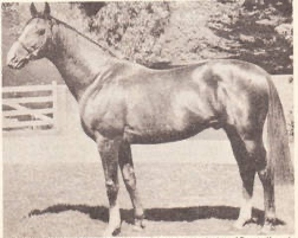 stallion Tour du Monde xx (Thoroughbred, 1958, from Sicambre xx)