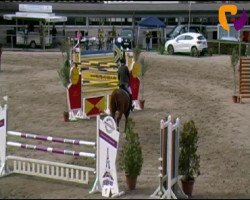 jumper Maxima 85 (German Riding Pony, 2005, from Mantovani)