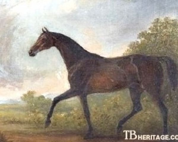 stallion Lanercost xx (Thoroughbred, 1835, from Liverpool xx)