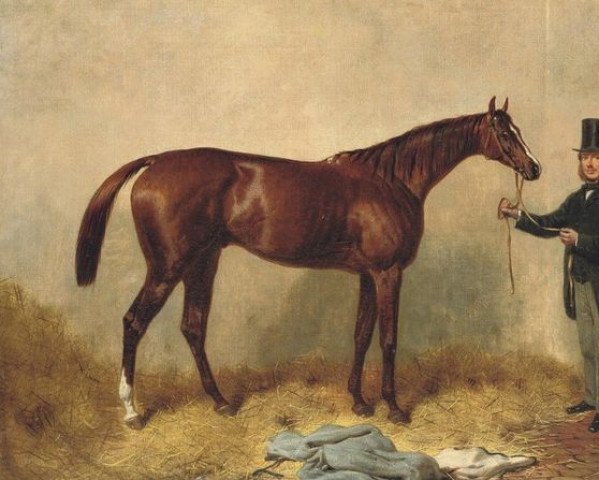 stallion Loiterer xx (Thoroughbred, 1857, from Stockwell xx)