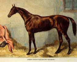 stallion Asteriod xx (Thoroughbred, 1858, from Stockwell xx)