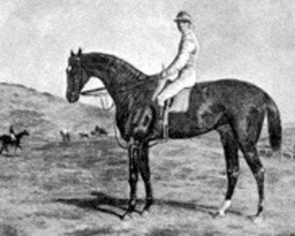 stallion Broomielaw xx (Thoroughbred, 1862, from Stockwell xx)