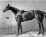 broodmare Repulse xx (Thoroughbred, 1863, from Stockwell xx)