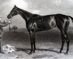 horse Achievement xx (Thoroughbred, 1864, from Stockwell xx)