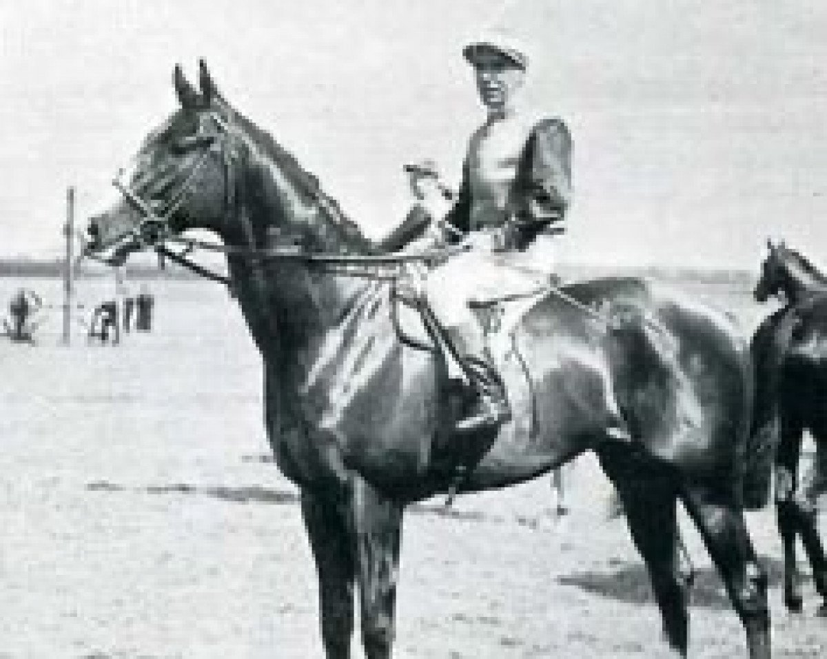 Deckhengst Royal Serenade xx (Englisches Vollblut, 1948, von Royal Charger xx)