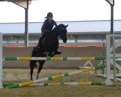 jumper Dream Lady 17 (German Riding Pony, 2002, from Night-Dream)