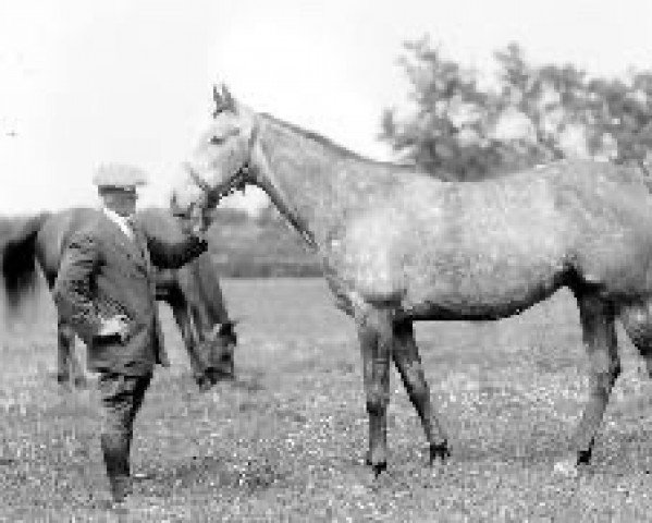 broodmare Mumtaz Mahal xx (Thoroughbred, 1921, from The Tetrarch xx)