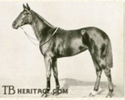 broodmare Molly Desmond xx (Thoroughbred, 1914, from Desmond xx)