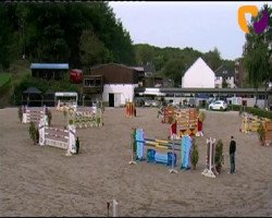 jumper Abarth (KWPN (Royal Dutch Sporthorse), 2005, from Oklund)