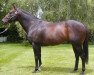 stallion Keeper xx (Thoroughbred, 1997, from Danehill xx)