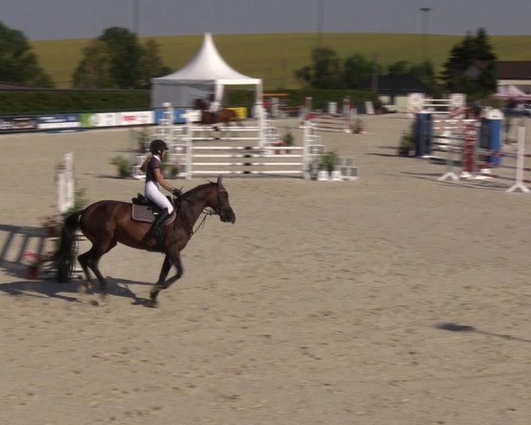 Reitturnier Immenrode 2022