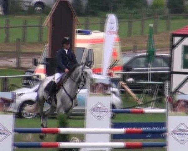 jumper Ceylon (Holsteiner, 2006, from Casado)