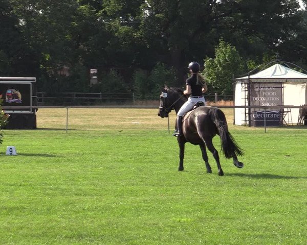 Reitturnier Schillerslage 2022