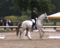 dressage horse Vuelta (unknown, 2003)