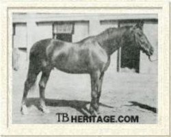 stallion Ortello xx (Thoroughbred, 1926, from Teddy xx)