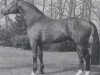 stallion Wettstreit (Hanoverian, 1972, from Wedekind)