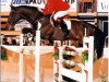 stallion Chairman (Holsteiner, 1985, from Cor de la Bryère)